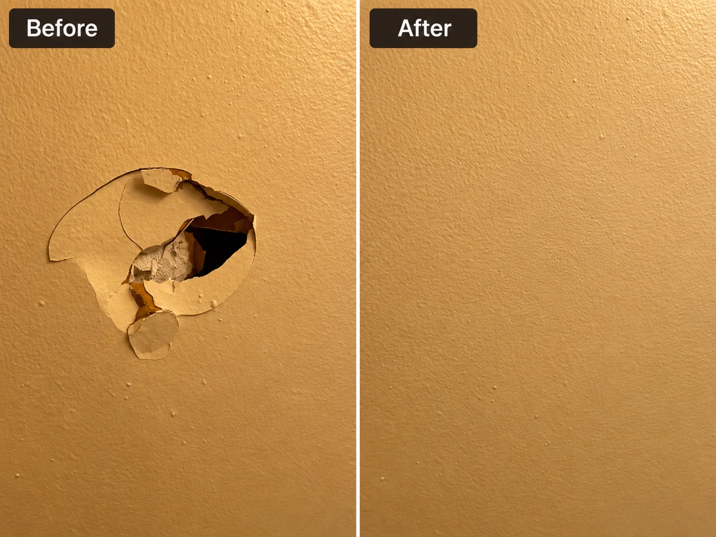 End of lease wall repairs before and after